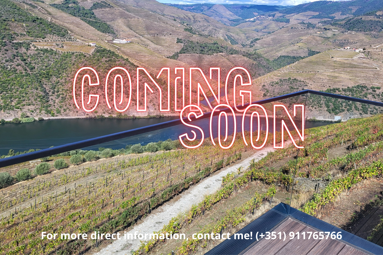 Modern Villa and Vineyards Douro River